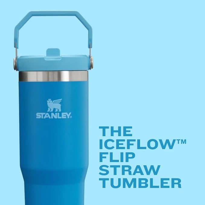 Stanley IceFlow Flip Straw Tumbler with Handle 20 oz | Twist On Lid and Flip Up Straw | Leak Resistant Water Bottle | Insulated Stainless Steel |BPA-Free | Plum